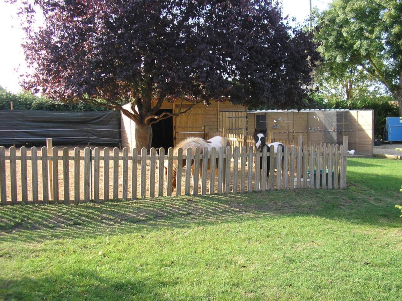 Logis De Chalons A La Mer Le Gua  Exterior photo